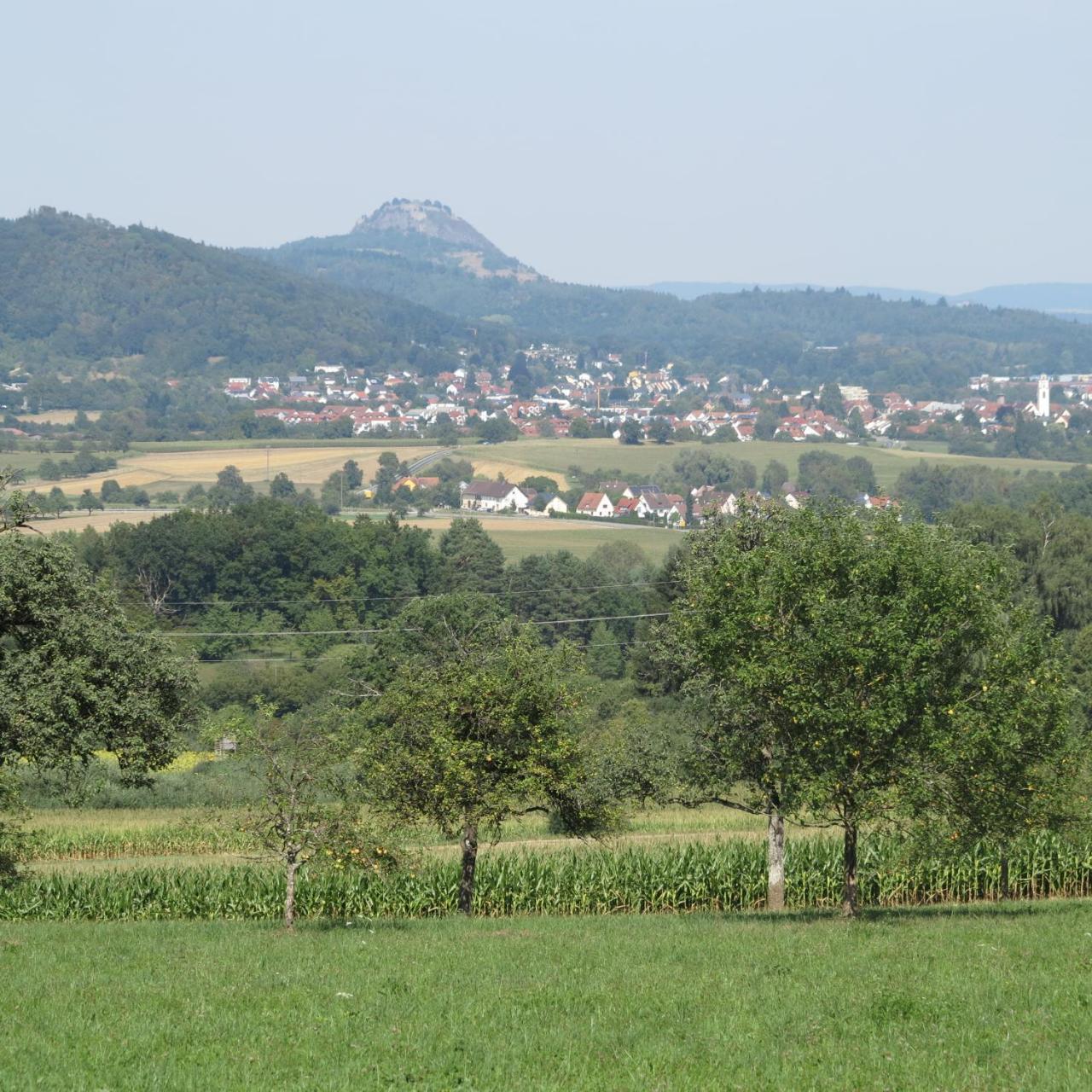Bodensee Hegau Gottmadingen Eksteriør bilde